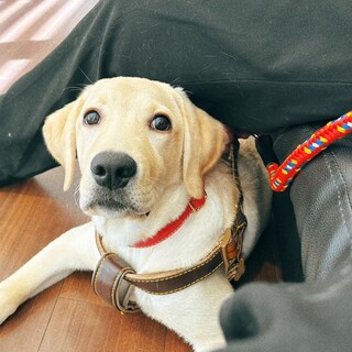 ※只今トライアル中です。