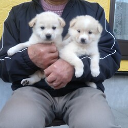 器量良しの兄弟