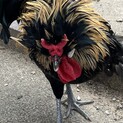 無事決まりました！