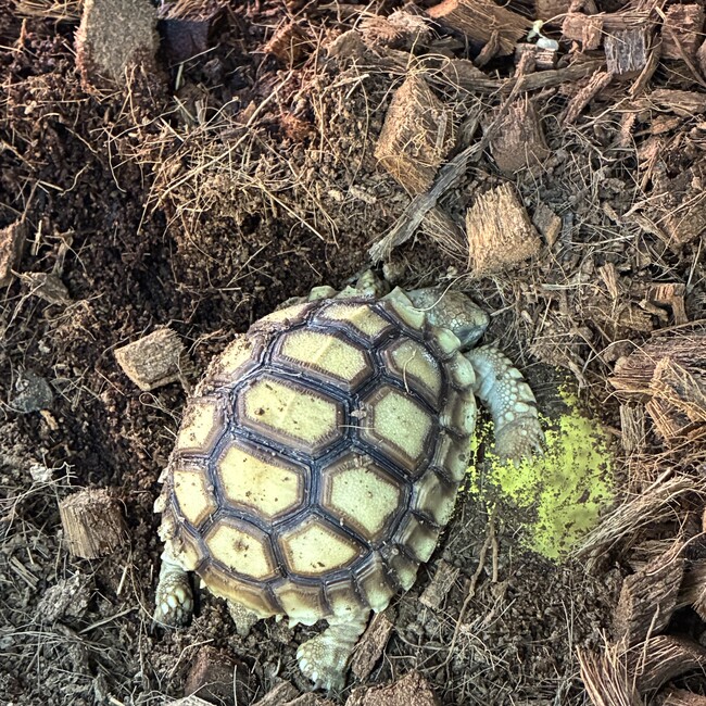 まえだりょうすけのカバー写真