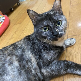 サビ柄の女の子♡