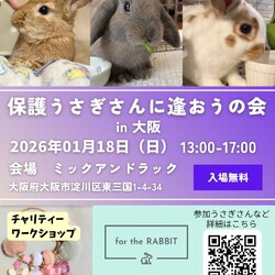 保護うさぎさんに逢おうの会in大阪 サムネイル1