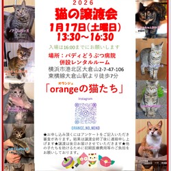 orangeの猫達の譲渡会in大倉山