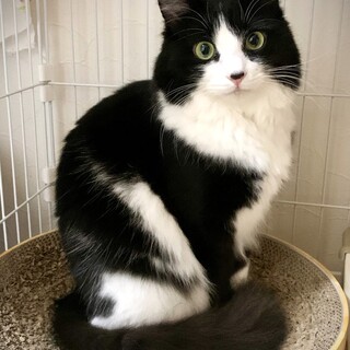 【1/10東銀座】オセロくん★１歳♪