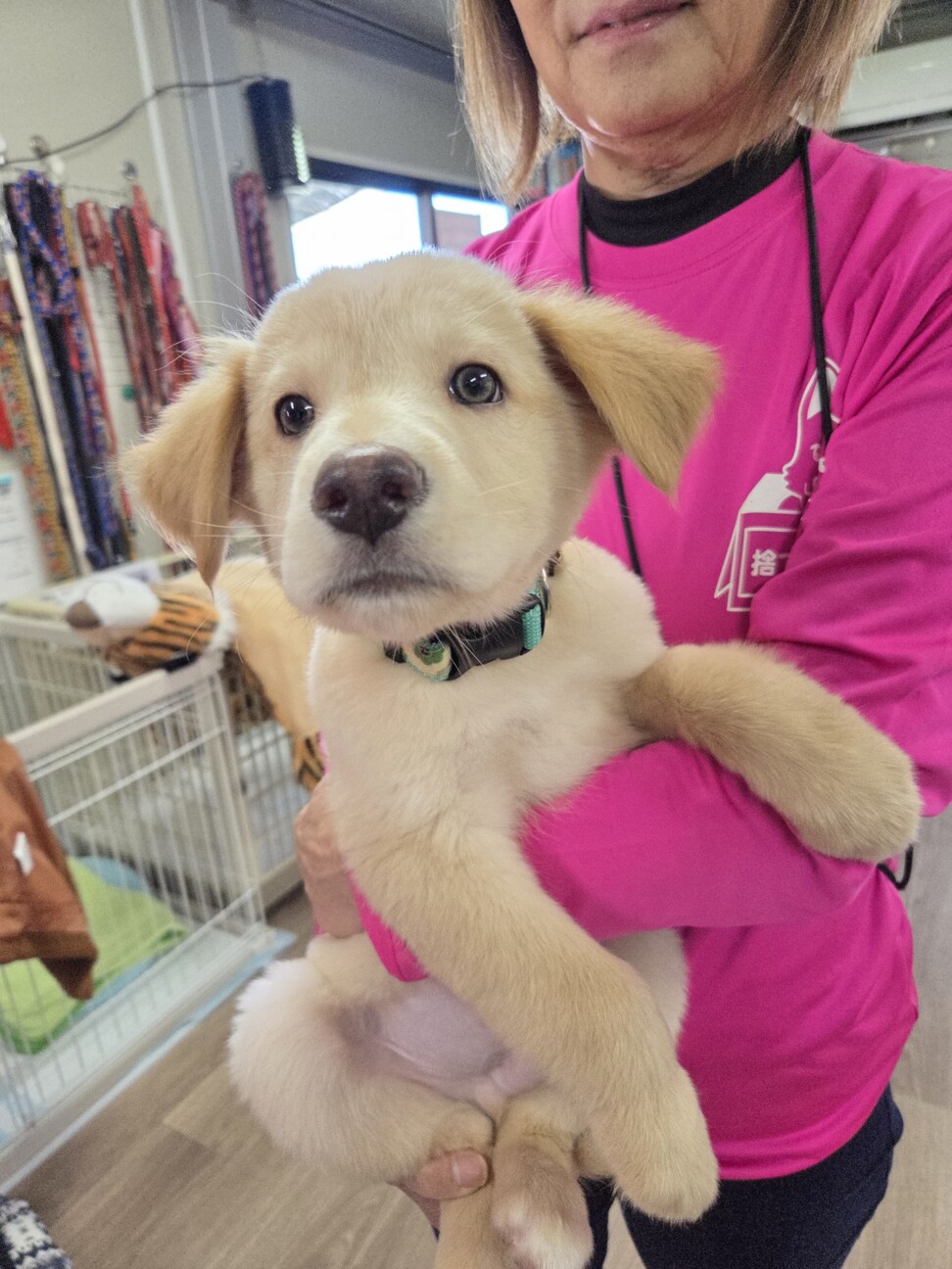 この子を助けてください サムネイル2