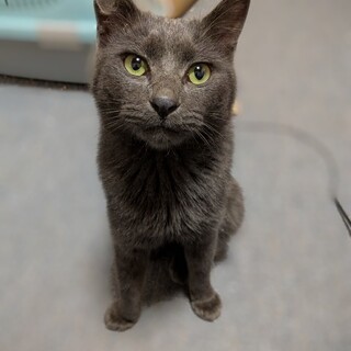 凛々しいお顔♥あそび大好き！カカオ君