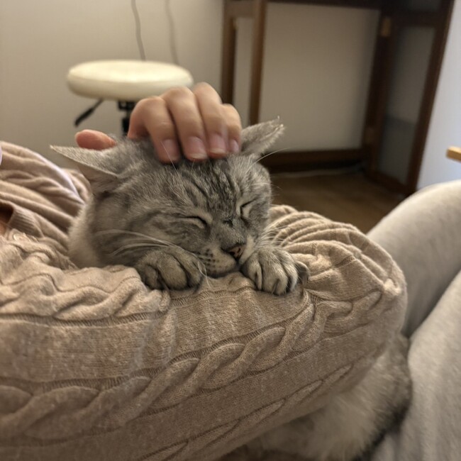 佐伯真宙のカバー写真