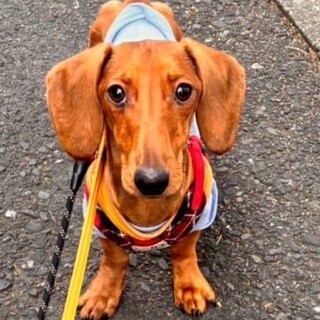 じっと見つめるフレンドリーなうなぎくん♡