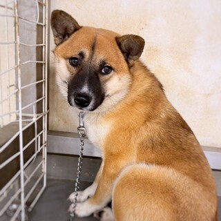 まったりマイペース　フウくん　1-2歳