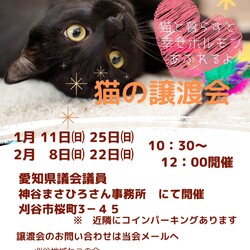 刈谷地域ねこの会　猫の譲渡会