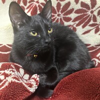 超絶甘えん坊なキキちゃん