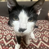 おっとりイケメンのルンくん