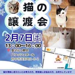 猫にゃんネットワーク府中{保護猫の譲渡会}