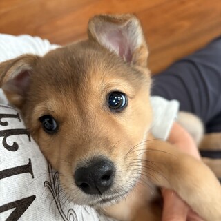 初対面の人にも物怖じなし★陽キャな女の子