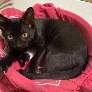 物怖じしない天真爛漫な楽しい男の子