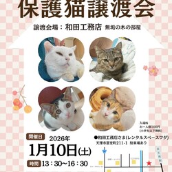 天理こはる譲渡会