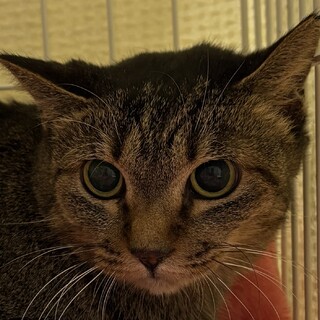 少し恥ずかしがり屋さん♪結（ゆい）ちゃん