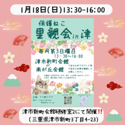 1/18保護猫の里親会in津市
