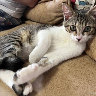 トライアル決定  人懐っこくて明るい男の子