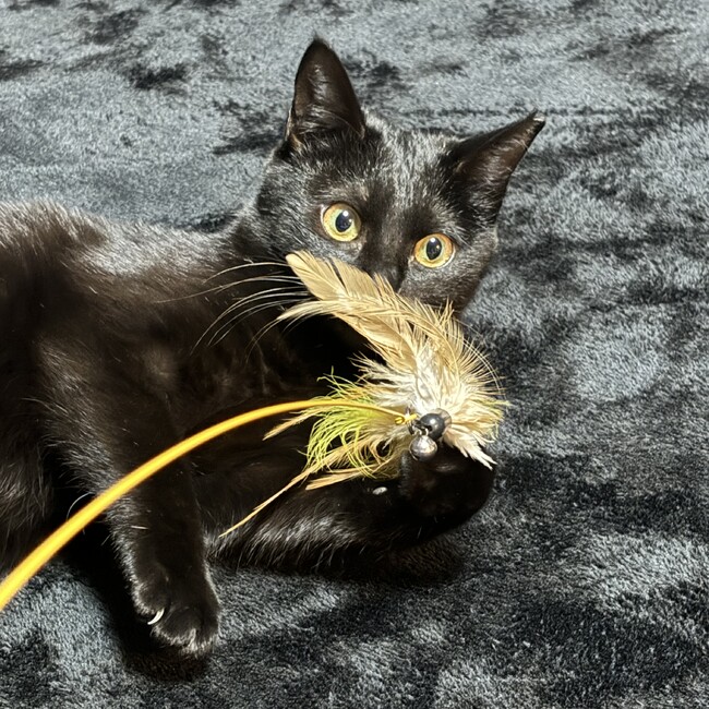 ymtmntのカバー写真