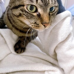 近況報告★元気です！