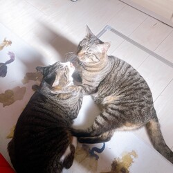 「近況報告★元気です！」サムネイル2