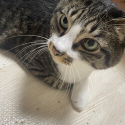 「近況報告★元気です！」サムネイル3