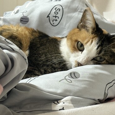 の写真