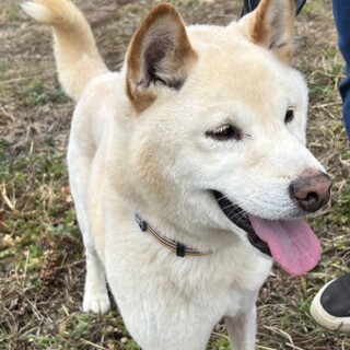 甘えん坊さんの男の子　レオくん