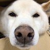 甘えん坊さんの男の子　レオくん