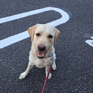 たくさんのご連絡ありがとうございました