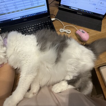 甘えん坊は突然に！