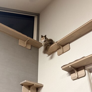 上が落ち着くの！