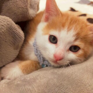 モカ＊応募者多数につき、募集停止中