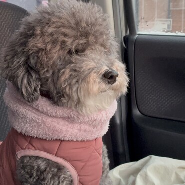 2026.1.1 6歳初日の出をみる