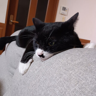 私の家族になってくれませんか？