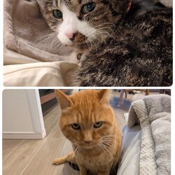 ［もなか君］［そあら君］について