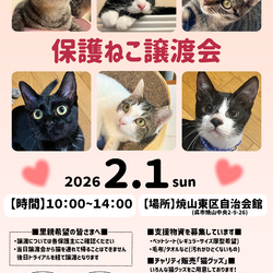 保護ねこ譲渡会