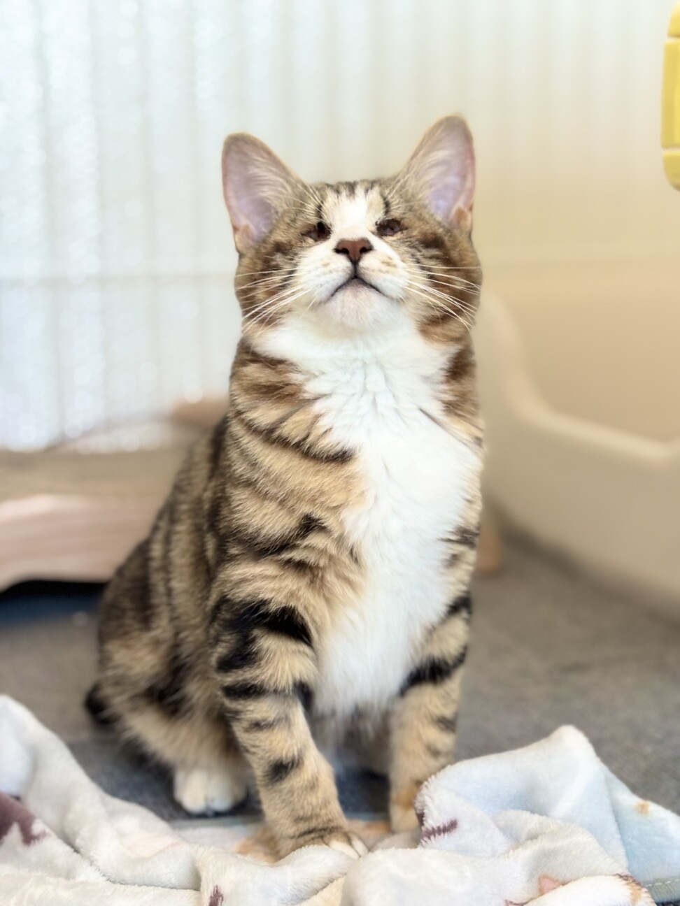 個性を受け入れてくれる家族募集 サムネイル2