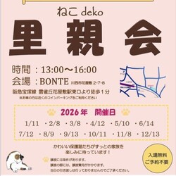 ねこdeko里親会 サムネイル1