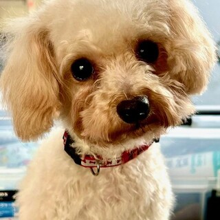 26-W28　甘えん坊で可愛いおとちゃん♪