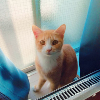 クールで不器用な♀春菊8ヵ月半