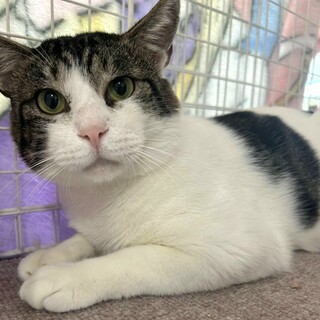 フミフミ大好き、 かまってちゃん♂なぎ助君