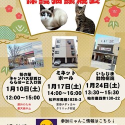 松戸市♡保護猫譲渡会♡NPO法人にゃん2