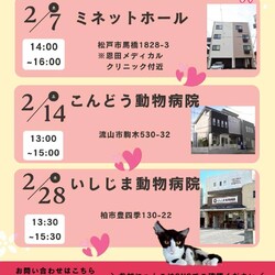 松戸市♡保護猫譲渡会♡NPO法人にゃん2