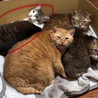 【人が好き】ちょっと臆病な女の子