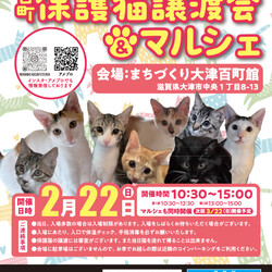 百町保護猫譲渡会＆マルシェ