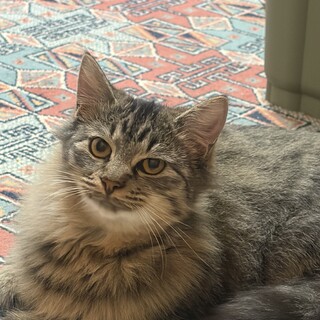 もうすぐ一歳になるぐーくん☆