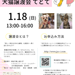 犬猫譲渡会「てとて」