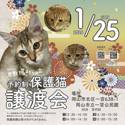 保護猫譲渡会（予約制）